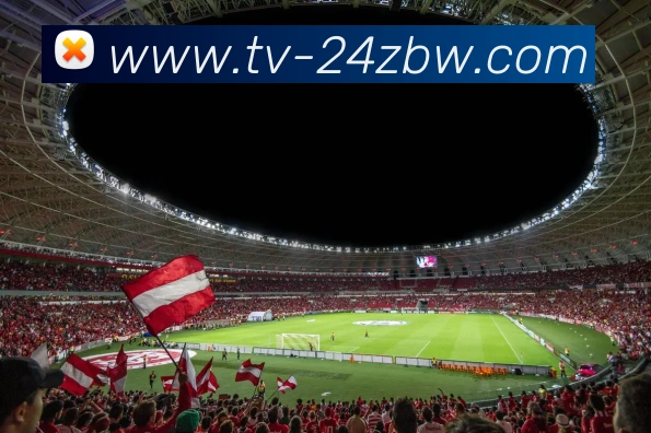 24直播网平台生态图